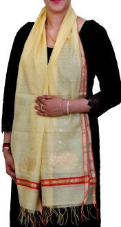 Handwoven Chanderi Silk Stole with Large Zari Motifs