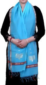 Handwoven Chanderi Silk Stole with Large Zari Motifs